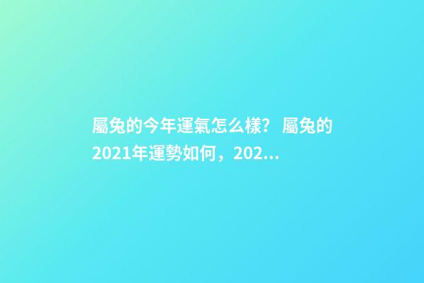 屬兔的今年運氣怎么樣？ 屬兔的2021年運勢如何，2021年屬兔人的全年運勢如何？-第1張-觀點-玄機派